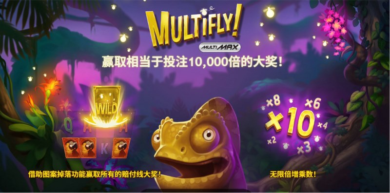 《多飞》：冲上云霄，感受心跳加速的刺激体验！