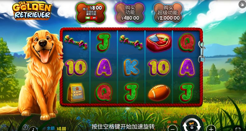 游戏介绍